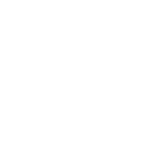 About Actmax | Learn About Our Mission and Values